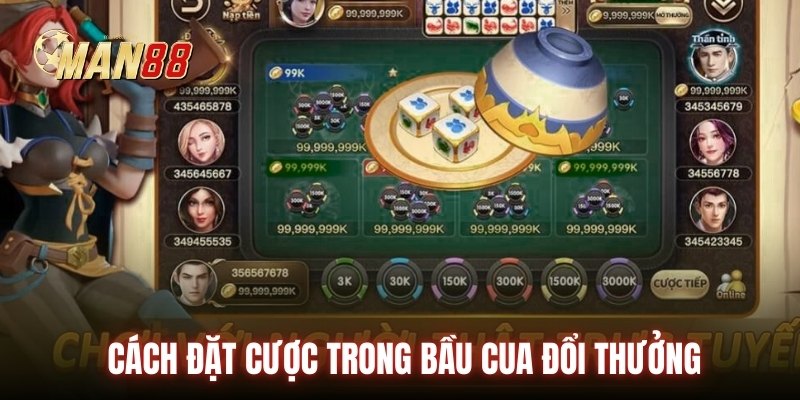 Cách đặt cược trong bầu cua đổi thưởng