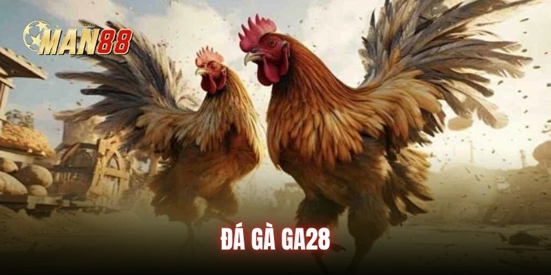 da-ga-ga28