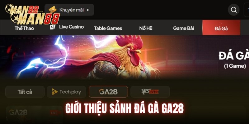 Giới thiệu sảnh đá gà GA28