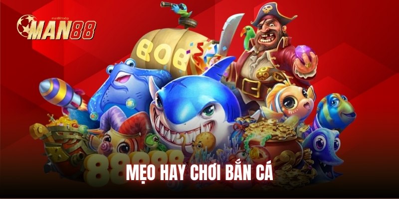 meo-hay-choi-ban-ca