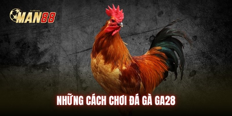 Những cách chơi đá gà GA28