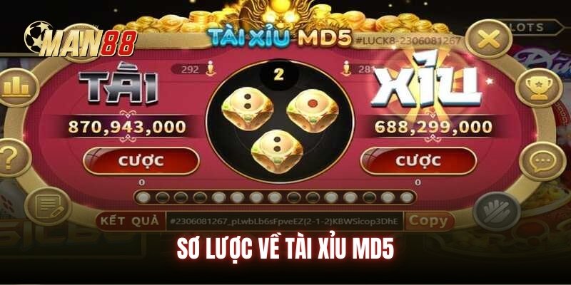Sơ lược về tài xỉu MD5