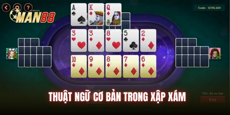 Thuật ngữ cơ bản trong xập xám